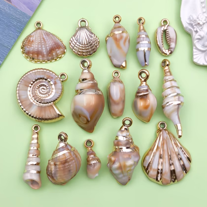 Concha de mar (1pz)